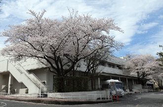 写真2枚目