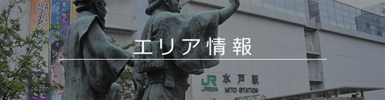 エリア情報