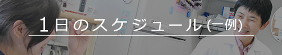 1日のスケジュール
