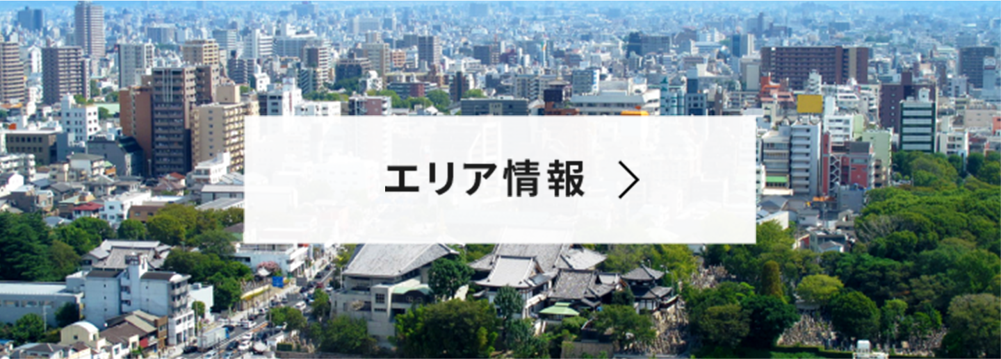 エリア情報
