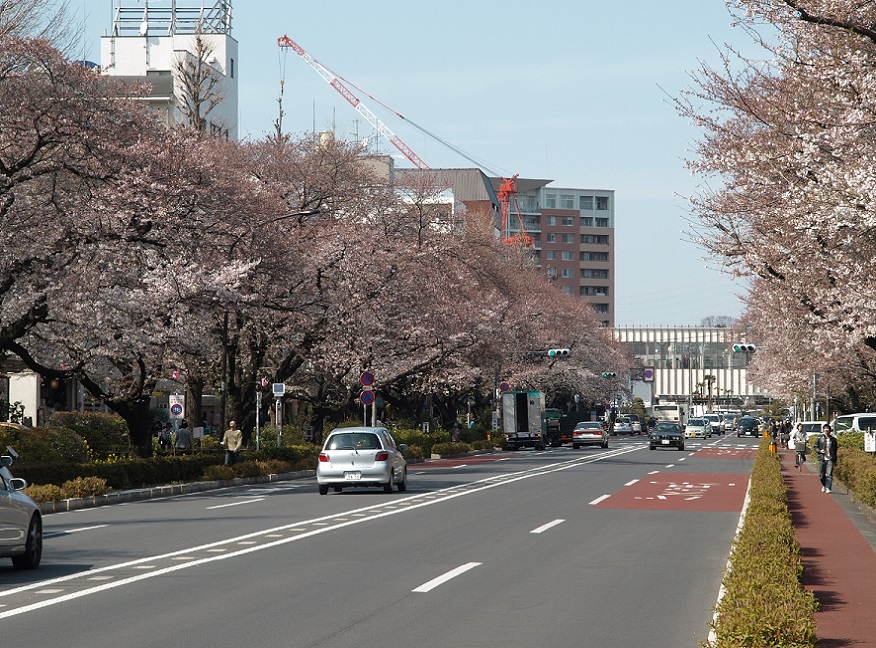 国立市の住環境用画像